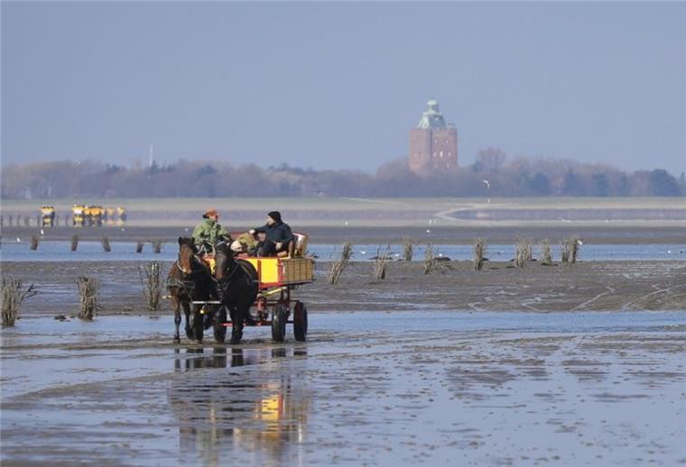 Cuxhaven: Nachhall-Festival mit Geschichten rund ums Wattenmeer Das Festival wird am Wattenmeer-Besucherzentrum Cuxhaven veranstaltet - mit Blick auf die Insel Neuwerk.