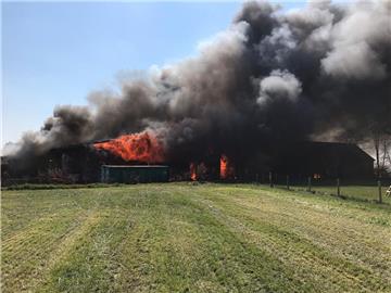 Das Feuer zerstörte nicht nur die komplette Tischlerei, sondern auch Fahrzeuge und ein Wohnhaus in der Nähe.
