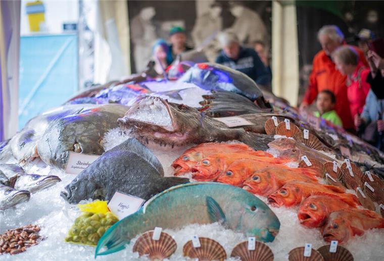 Ganz schön fischig! Bilder der Fischparty im Fischereihafen Bremerhaven Das Fischbett.