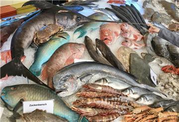 Das Fischbett zeigt verschiedene Fischarten und Schalentiere.