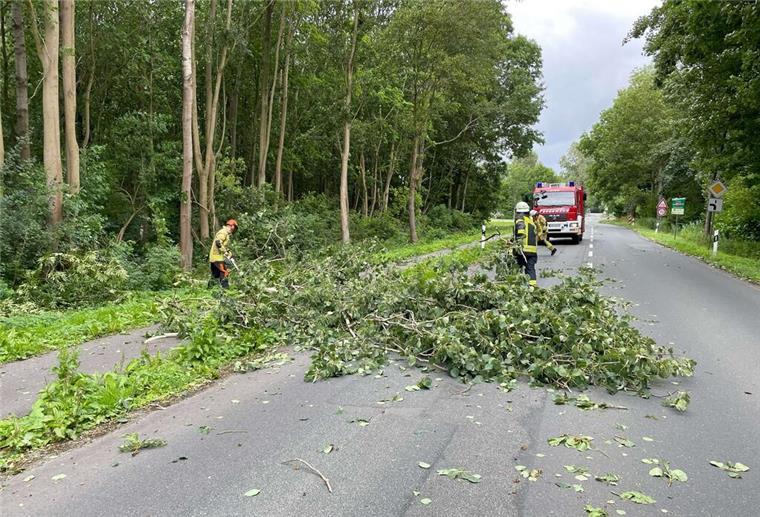 Das Foto zeigt den Einsatz Loxstedt Hohewurthstraße.