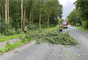Das Foto zeigt den Einsatz Loxstedt Hohewurthstraße.