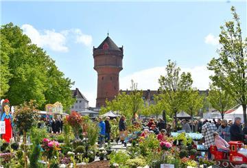 Geestemünde, Blütenfest, 4. Mai 2025