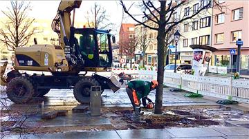 Das geht ruck-zuck: Die Baggerschaufel klemmt sich die Baumspitze ins Maul, unten kreischt die Säge, ist der schlanke Stamm durch, legt der Bagger den Baum sanft auf die Seite. So ergeht es 28 Linden am Theodor-Heuss-Platz. Foto Schwan