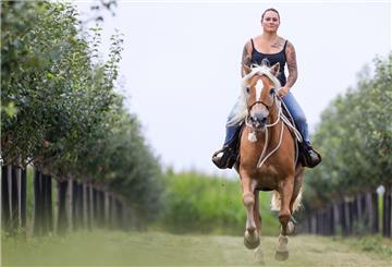 Eine Frau reitet auf einem Pferd durch eine Obstwiese mit Apfelbäumen.