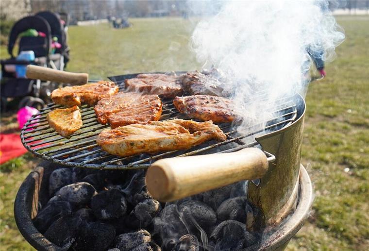 Grillen im Park