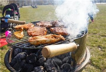 Grillen im Park