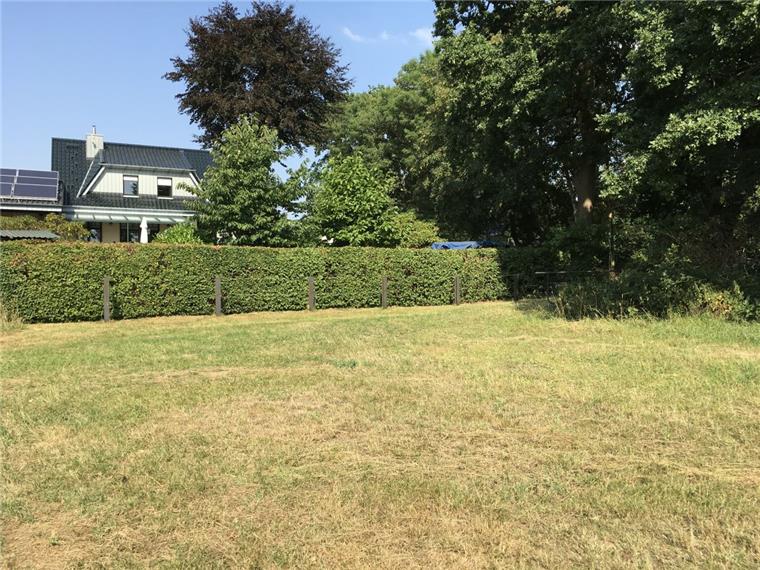Das Grundstück für die geplante Kita in Spaden grenzt an die Gärten der Anlieger im Marnkeweg. Noch ist es eine Pferdeweide. So bleibt es auch erstmal.