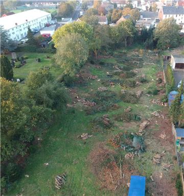 Das Grundstück zwischen Altwulsdorfer Friedhof und Hackfahrel ist bereits im Herbst gerodet worden. Das alte reetgedeckte Bauernhaus (oberer Bildrand) muss für das geplante Wohnbau-Projekt weichen. 
