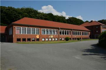 Das Gymnasium platzt aus allen Nähten. Deshalb soll hinter der Schule – dort, wo jetzt noch Bäume stehen – ein Anbau errichtet werden.