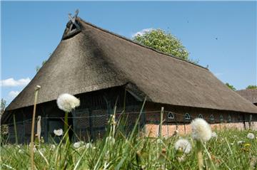Das im Jahre 1564 gebaute "Eckes Hus" in Ostereistedt: Eine Broschüre bietet jetzt einen informativen Rundgang durch das älteste Bauernhaus im Landkreis Rotenburg.    
