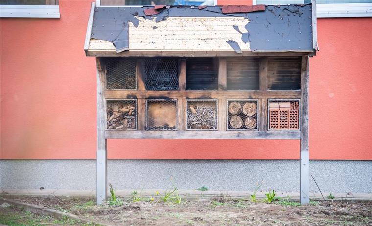 Das Insektenhotel der Friedrich-Ebert-Schule fiel dem Vandalismus druch Feuer zum Opfer.