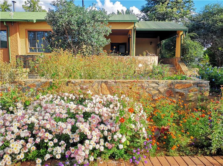 Wohnen im botanischen Garten: So genießen zwei Auswanderer in Namibia das Leben Das ist das Haus, in dem Magdalene und Michael Remmers in Namibia leben. „Wir wohnen in einem botanischen Garten“, sagen sie.