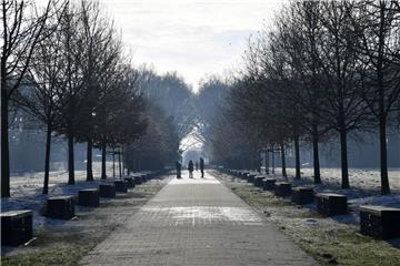 Das klare Winterwetter lädt zum Spazierengehen ein.