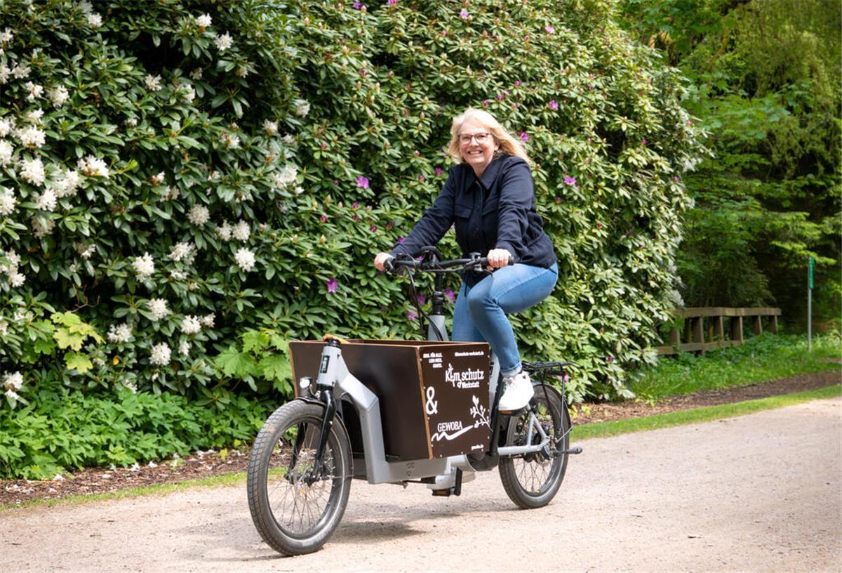 Lastenbike