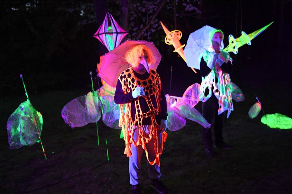 Das Lichterspektakel im Speckenbüttler Park geht am 28. September in die 16. Runde. Das bunte Lichtfestival lockt mit einem Abend voller Lichtinstallationen, bunten Tänzern und Feuershows. Foto: Scheer
