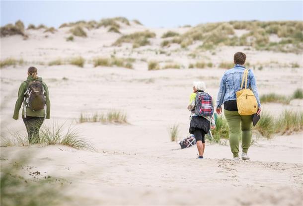 19.06.2025 08:00<br>(Rückansicht)<br><ul><li>Kirche</li><li>Tourismus</li></ul>.<H1>Meditation in den Dünen</H1>.<div id='MLD0'/>ARCHIV - Drei Frauen bei einer christlichen Meditationswanderung in den Dünen auf der Insel Norderney am 2. Juli 2020. Zum KNA-Text: Fachfrauen zeigen Wege zur Entspannung auf - als politischem Akt Foto: Harald Oppitz/KNA - Nur für redaktionelle Verwendung; Modelrelease liegt vor