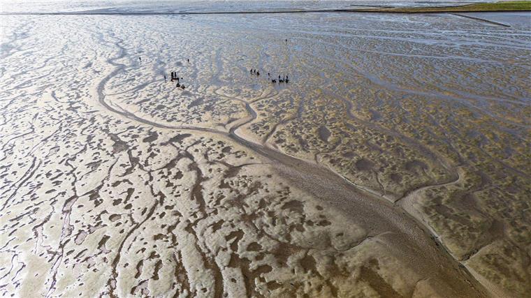 Klimawandel verändert Wattenmeer im Rekordtempo Das Meerwasser im Watt erwärmt sich besonders schnell. (Archivbild)