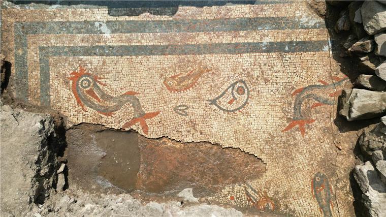 Römisches Mosaik mit Delfinen in England entdeckt Das Mosaik wurde vermutlich von einer einflussreichen Person in Auftrag gegeben.
