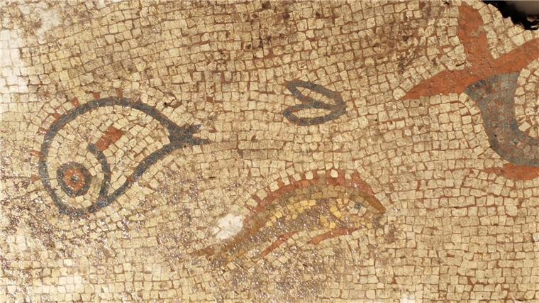Römisches Mosaik mit Delfinen in England entdeckt Das Mosaik zeigt Delfine und Fische.