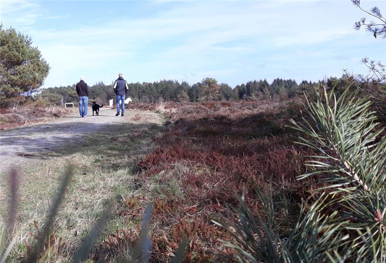 Heide Cuxhaven