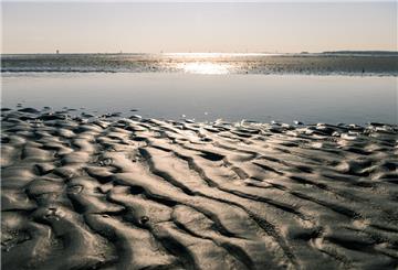Wattenmeer mit untergehender Sonne