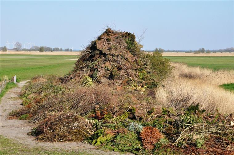 Wesermarsch: Osterfeuer am Naturschutzgebiet – Alle Vögel sind noch da Das Osterfeier in Strohausen soll kleiner werden.