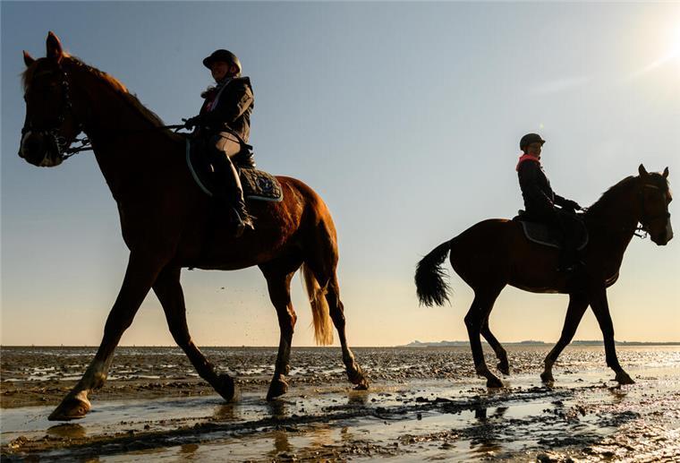 Cuxhaven-Duhnen: Reitunfall im Watt - Pferd eingeschläfert Zwei Reiterinnen mit ihren Pferden im Watt.