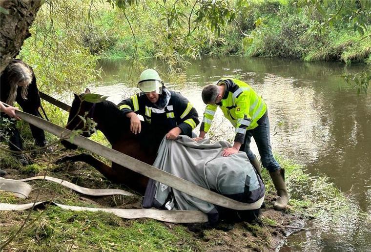 Tragische Rettungsaktion: Pferd wird aus der Oste gezogen und muss eingeschläfert werden Pferd wurde von der Feuerwehr aus der Oste befreit
