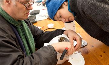 Das Repair-Cafè kommt am Sonntag, 2. September, nach Seefeld.