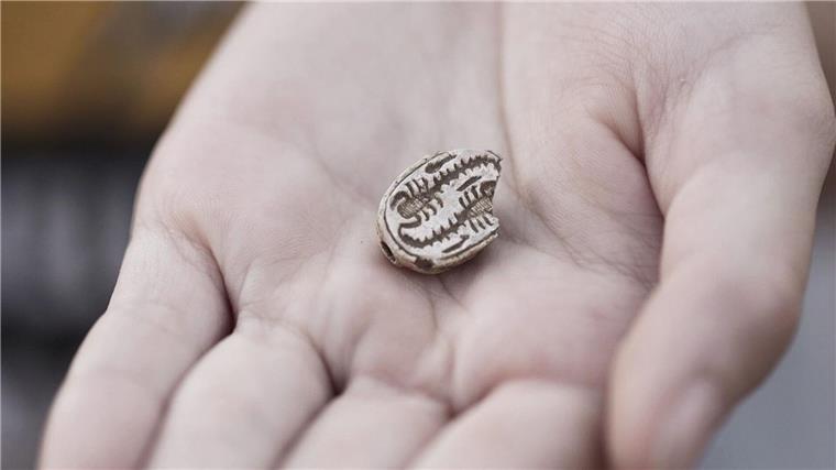 Das rund 3.500 Jahre altes Skarabäus-Amulett, das ein Mädchen in Israel gefunden hat. 