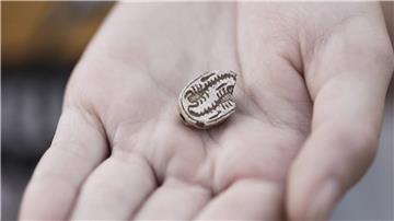 Das rund 3.500 Jahre altes Skarabäus-Amulett, das ein Mädchen in Israel gefunden hat. 