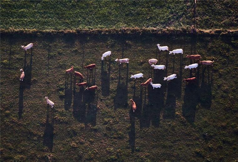 Das Sauerland - bald wohl Kanzlerheimat Das Sauerland hat wirtschaftlich bei weitem nicht nur Landwirtschaft zu bieten (Archivbild).