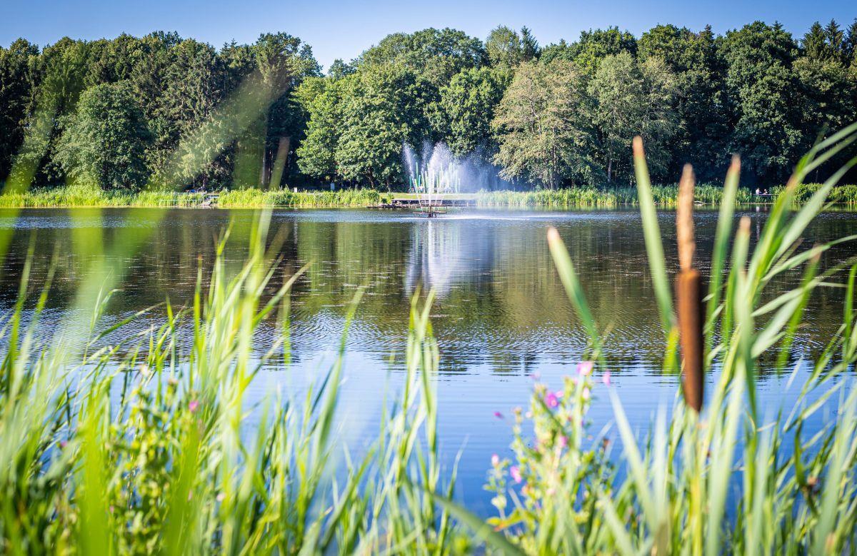 Das schöne Wetter lockt in den Speckenbütteler Park in Bremerhaven.