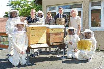 Das Schulprojekt "Von Hummeln und Bienen" gehört zu den Vorhaben, die die Bremerhavener Stiftung Tier- und Naturschutz in den zurückliegenden fünf Jahren unterstützt hat.