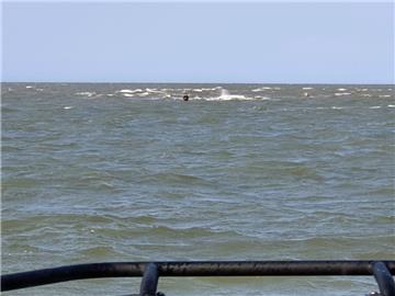 Das Seenotrettungsboot im Einsatz für einen verunglückten Surfer vor Langeoog.