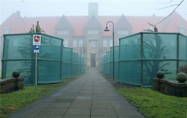 Das Staatliche Baumanagement Ems-Weser schätzt, dass die engmaschigen grünen Schutzgitter mindestens ein Jahr lang stehen bleiben müssen. Sie sollen dafür sorgen, dass die Rinde der Eiben nicht zu viel UV-Strahlung abbekommt.