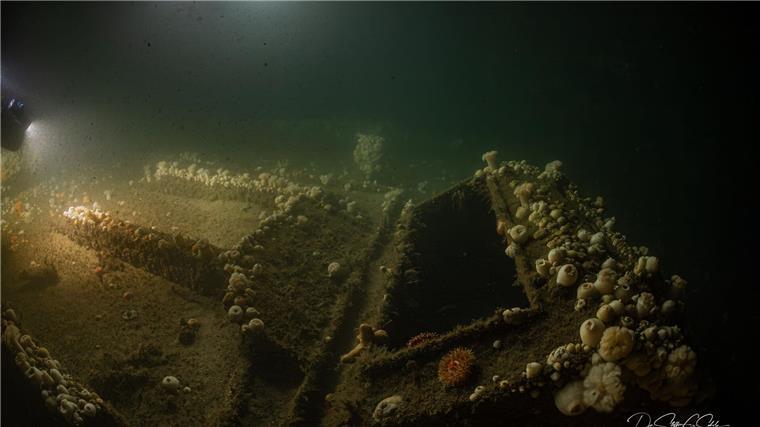 Von deutschem U-Boot versenkt: Forscher tauchen zu Wrack Das Team von „ProjectXplore“ hat es sich zum Ziel gesetzt, historisch bedeutsame Schiffswracks zu finden.