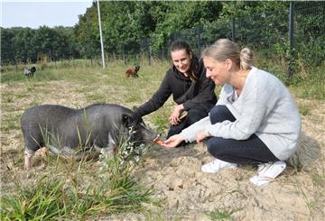 Das Tierheim Bremerhaven kümmert sich zum großen Teil um Hunde und Katzen. Aber Pflegeleiterin Nadine Bruns (links) und Tierheimleiterin Amelie Bensch sind zurzeit auch zuständig für zwei Brahma-Hähne (im Hintergrund) und ein Schwein namens Bacon.