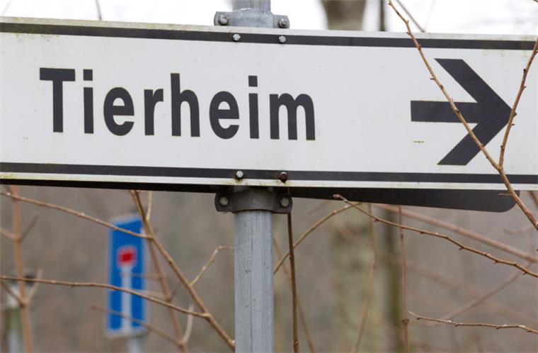Das Tierheim Bremerhaven warnt aktuell vor Tierfängern.