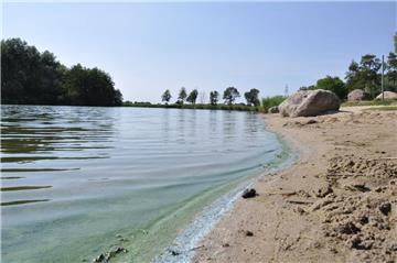 Das Ufer des Seenparks I in Nordenham ist von den giftigen Blaualgen grün und blau verfärbt.