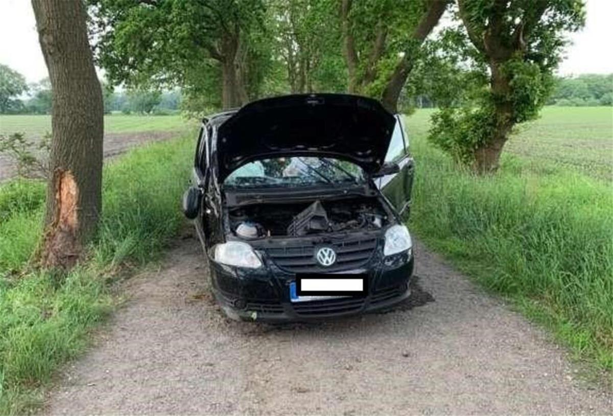 Unfallfahrzeug mit einem der beschädigten Bäume