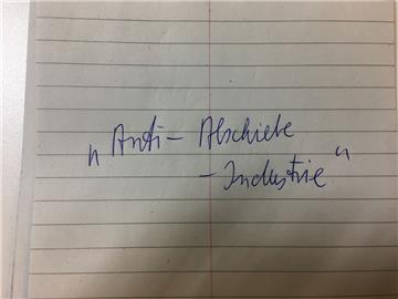 Das "Unwort des Jahres" 2018 heißt "Anti-Abschiebe-Industrie".