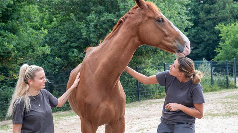 Das vom Tierheim Bubi genannte irische Rennpferd wird von Nadine Bruns (rechts) und Denise Vohs aufgepäppelt.