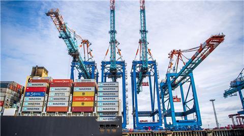 Das von den Spinnen befallene Schiff wird voraussichtlich noch einige Wochen in Bremerhaven bleiben. (Illustration)