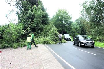 Das war knapp: Vor dem Auto von Jürgen Schulz aus Stubben krachte dieser Baum aufgrund von Sturmtief "Sebastian" in Deelbrügge in der Gemeinde Beverstedt nieder.