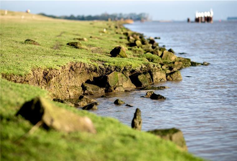 Das Wasser unterspült eine Abbruchkante im Deich. Mit Beginn der Sturmflutsaison im Herbst nehmen Küstenschützer wieder die Deiche in den Blick.