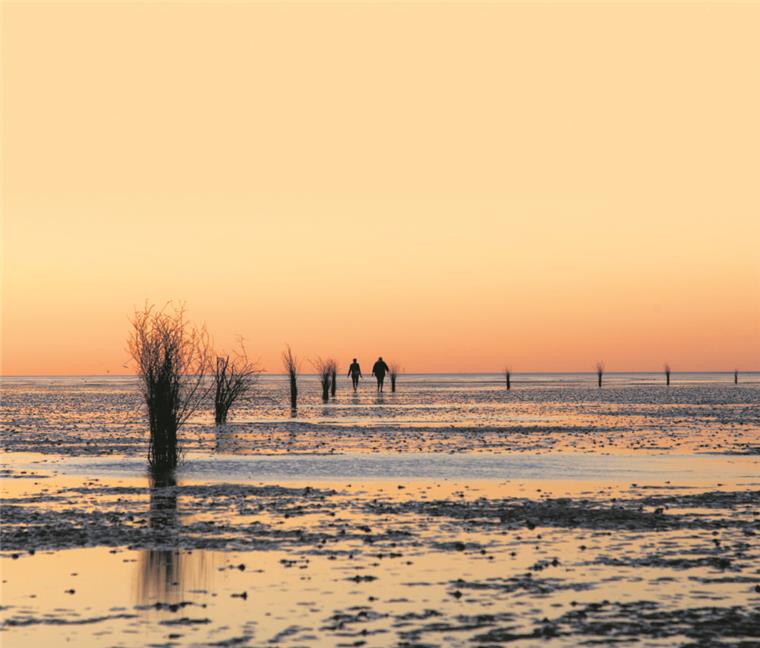 Das Wattenmeer: viel mehr als einfach nur schön. Seit zehn Jahren gehört der größte Nationalpark Europas zum UNESCO-Welterbe.