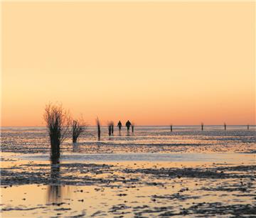 Das Wattenmeer: viel mehr als einfach nur schön. Seit zehn Jahren gehört der größte Nationalpark Europas zum UNESCO-Welterbe.
