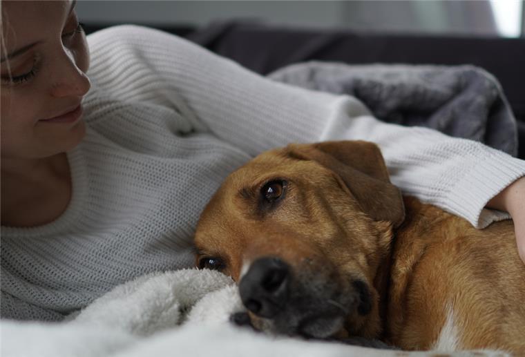 Hundetrainerin Christin Steinmeier und ihr Hund Malcom liegen zusammen auf dem Sofa.